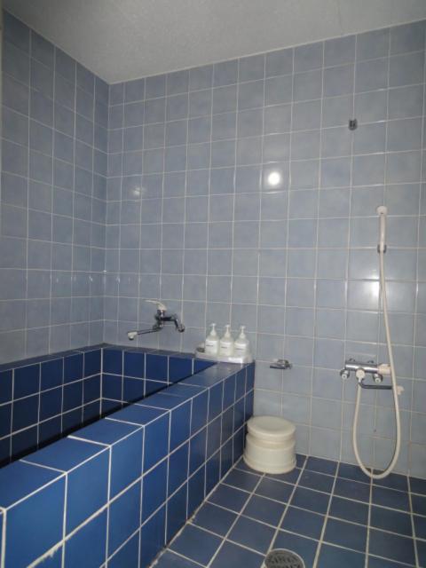 Soho Asakusa Hotel Токио Стая снимка